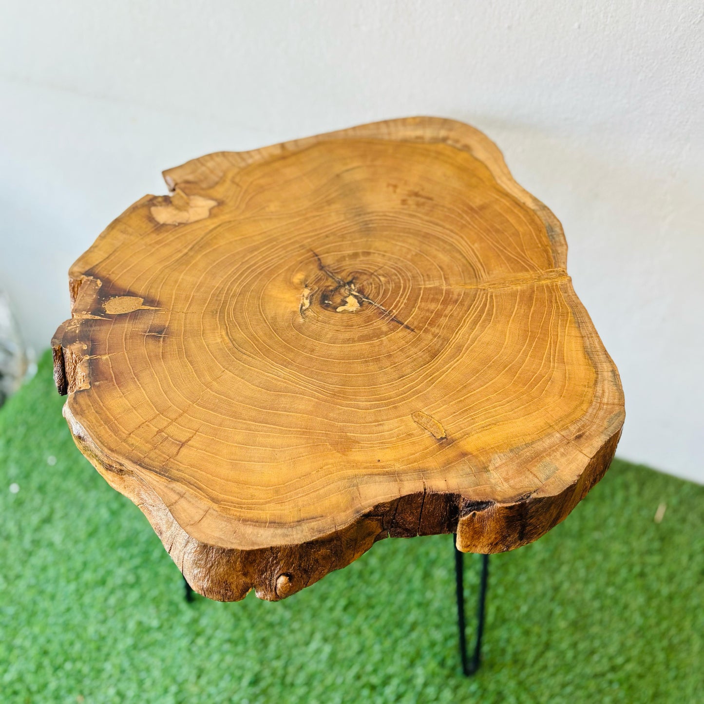 Metal Roots Coffee Table