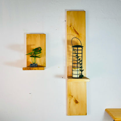 Wall Decor Shelves (2pcs)