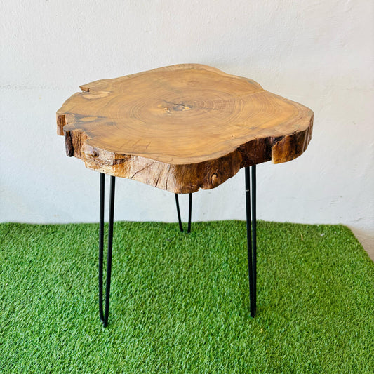 Metal Roots Coffee Table