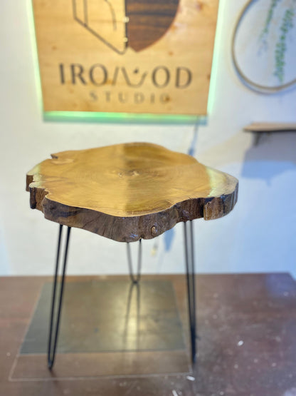 Metal Roots Coffee Table